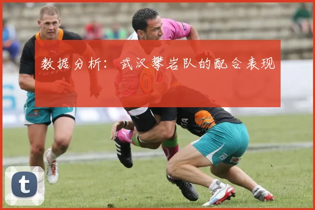 数据分析：武汉攀岩队的配合表现