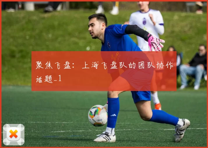 聚焦飞盘：上海飞盘队的团队协作话题_1