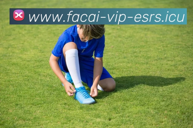 星空体育注册APP 封面图